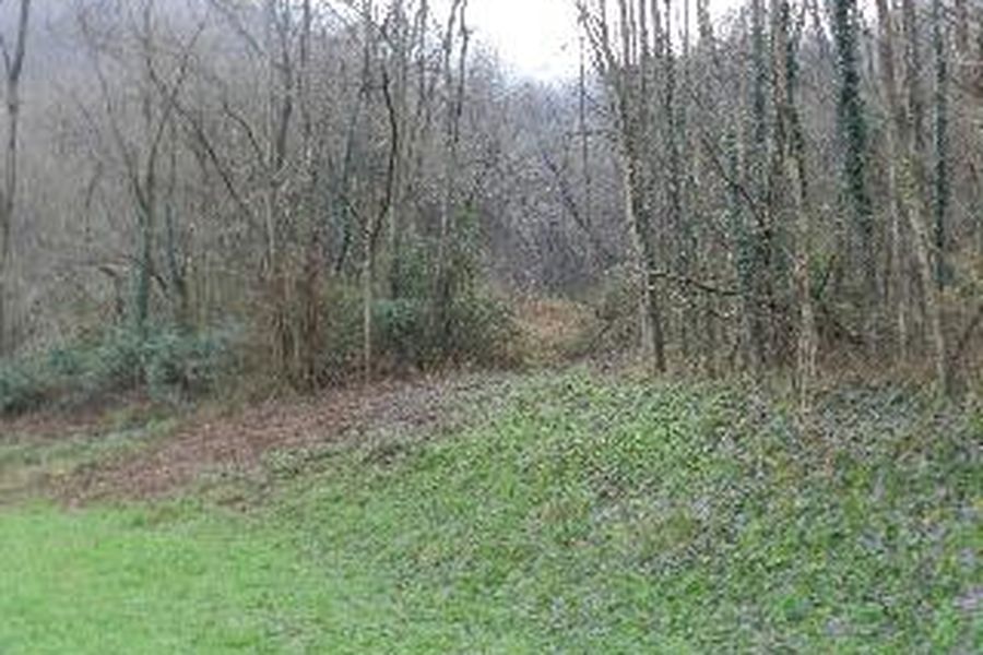 foto-1