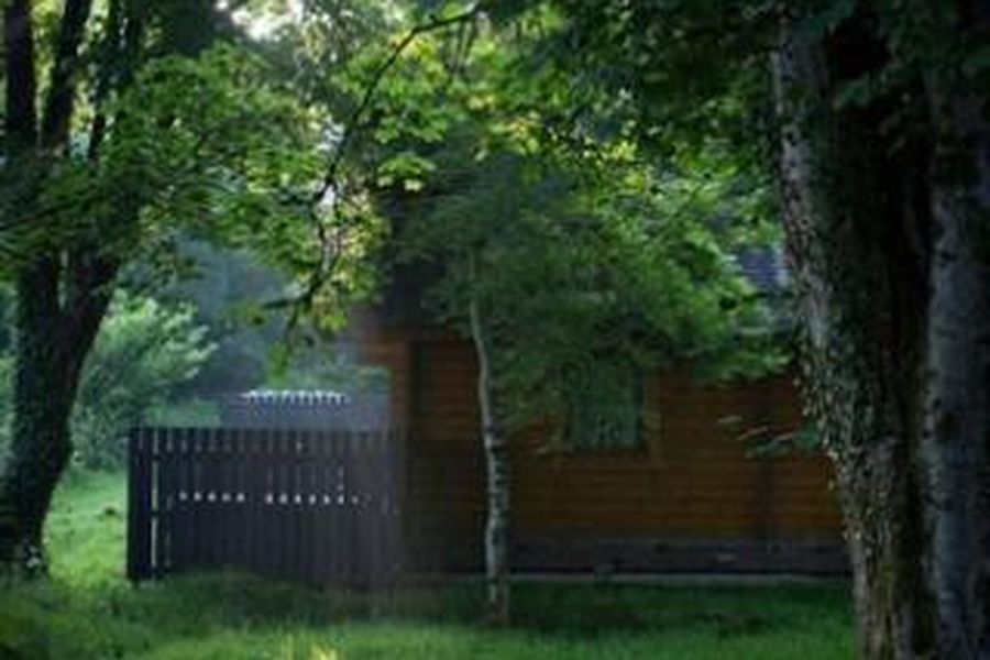 foto-2