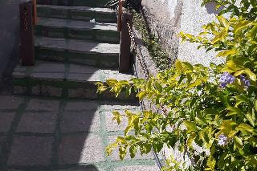 photo-2