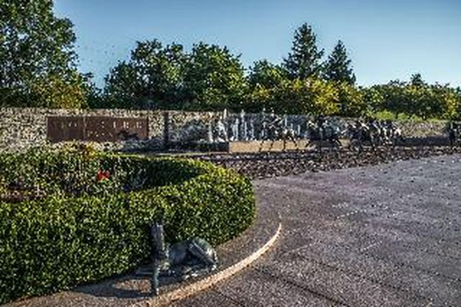 photo-1