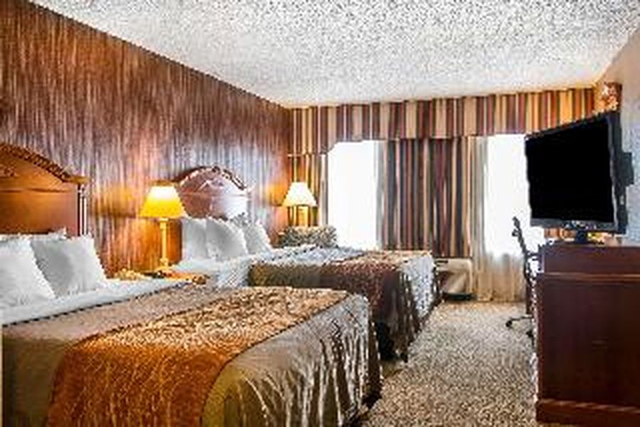 photo-1