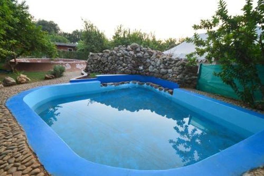 photo-3