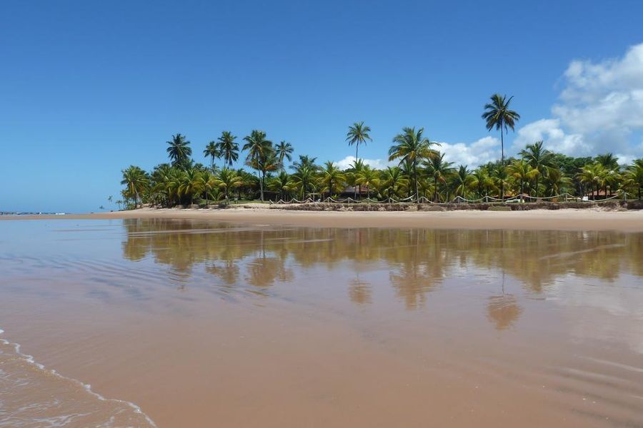 foto-1