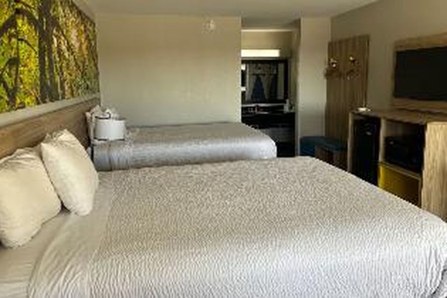 photo-3
