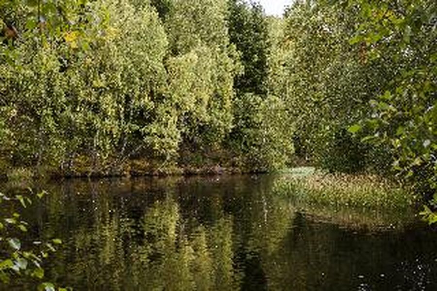 photo-2