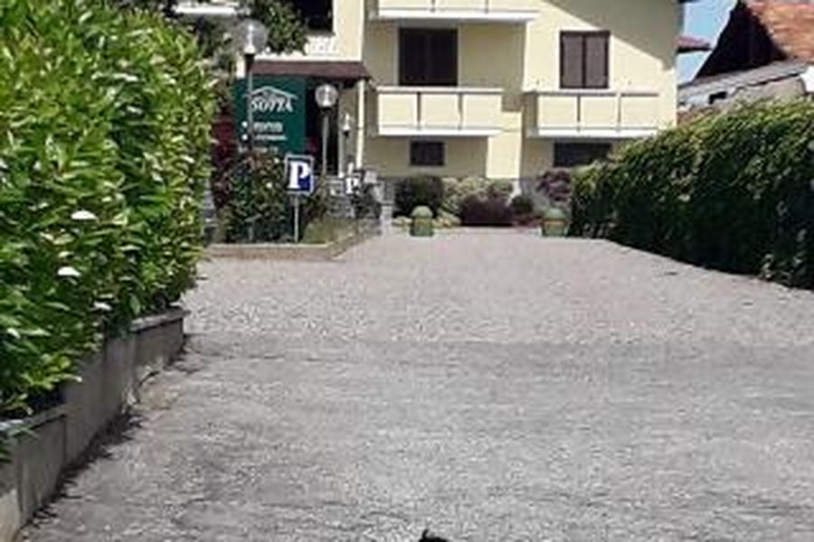 foto-2
