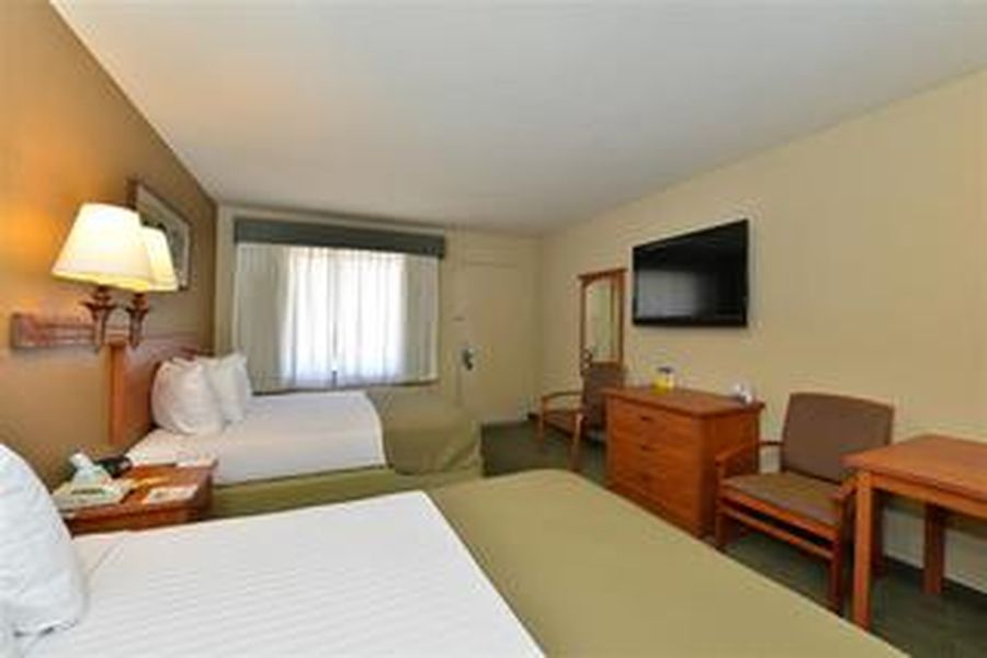 photo-1