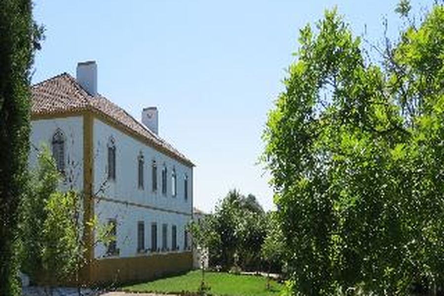 foto-0