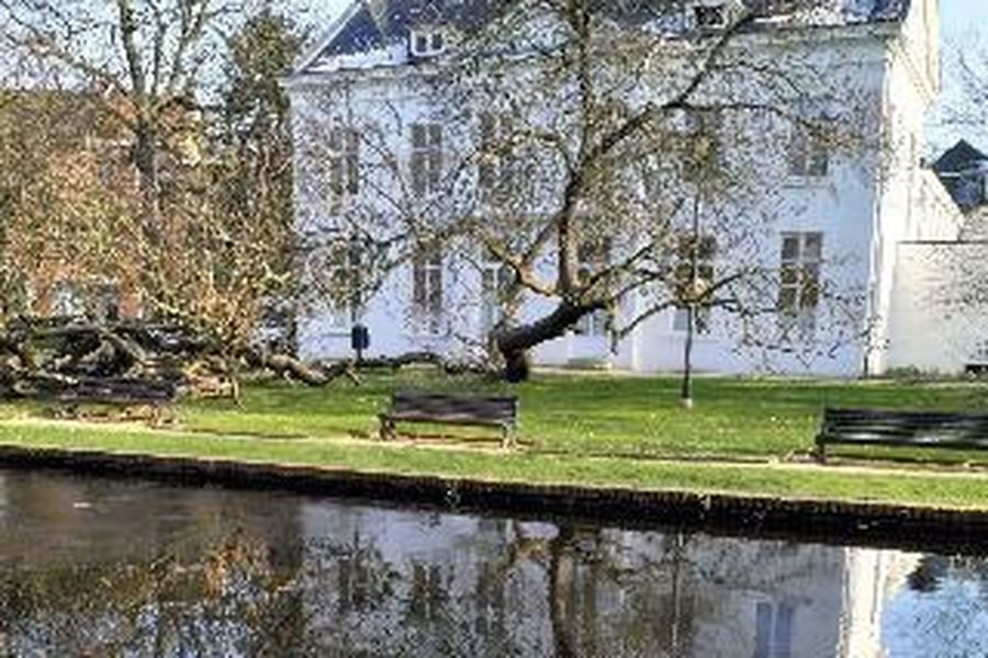 foto-1