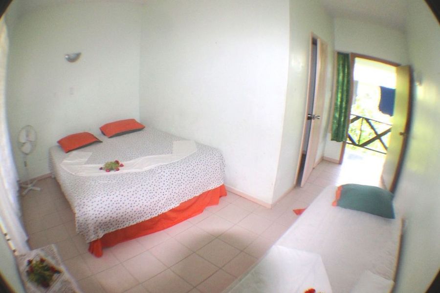 foto-3