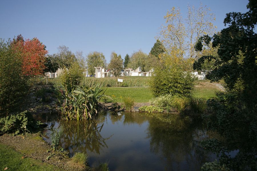 foto-1