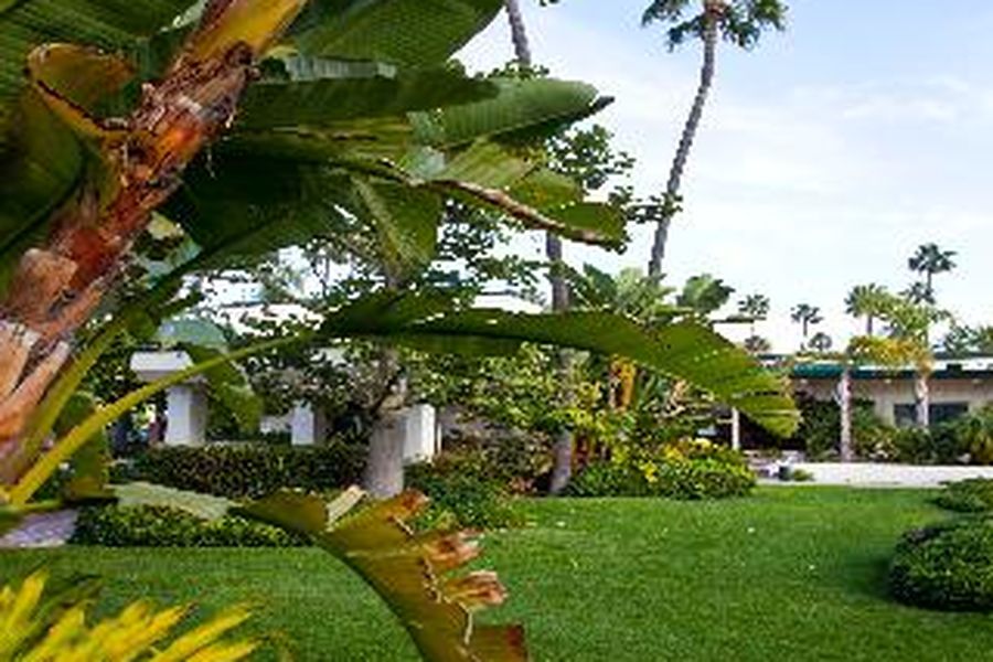 photo-2