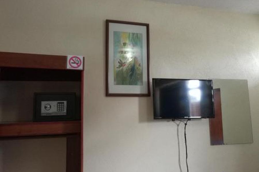 photo-1