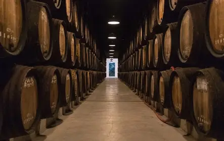Caves Poças: Visita Guiada + Prova de 3 Vinhos do Porto